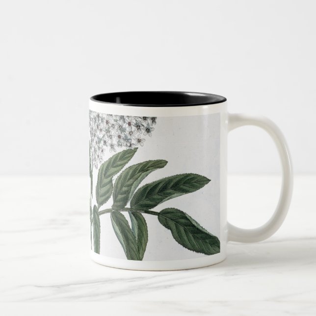 Tasse 2 Couleurs Aîné, fig. 13 "du jeune terrien", publishe (Droit)