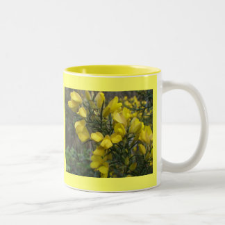 Tasse 2 Couleurs Ajonc