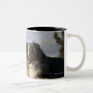 Tasse 2 Couleurs Alberta, Canada 2