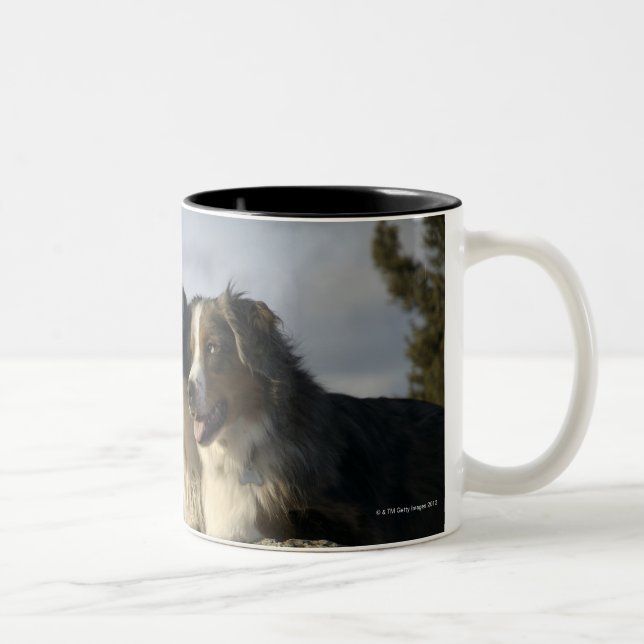 Tasse 2 Couleurs Alberta, Canada 2 (Droit)