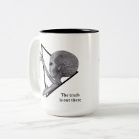 Alien gris, la vérité est là