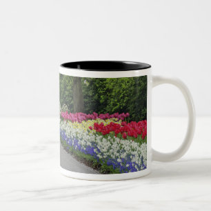 Tasse 2 Couleurs Allée de trottoir à travers les tulipes et les jon