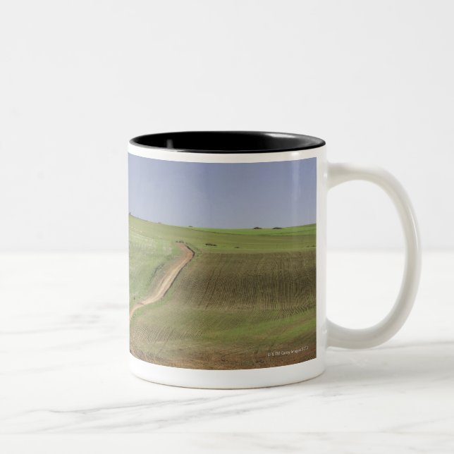 Tasse 2 Couleurs Aloès fleurissant près de Caledon, le (Droit)