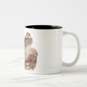 Tasse 2 Couleurs Amarrez la grenouille - arvalis de Rana