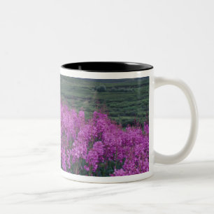 Tasse 2 Couleurs Amérique du Nord, Canada, Yukon. Épilobe en fleurs