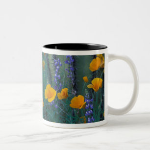 Tasse 2 Couleurs Amérique du Nord, États-Unis, Arizona, Cactus Orga