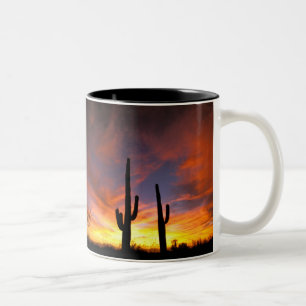 Tasse 2 Couleurs Amérique du Nord, États-Unis, Arizona, désert d