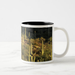 Tasse 2 Couleurs Amérique du Nord, États-Unis, Arizona, désert de S
