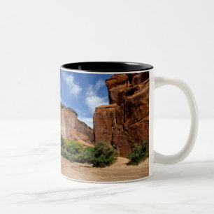 Tasse 2 Couleurs Amérique du Nord, États-Unis, Arizona, Navajo Indi