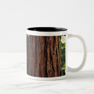 Tasse 2 Couleurs Amérique du Nord, États-Unis, Californie, Yosemite