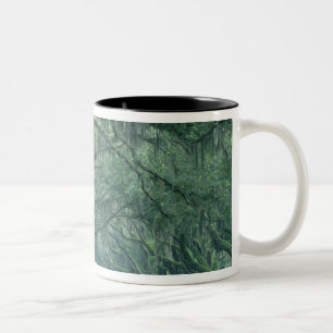 Tasse 2 Couleurs Amérique du Nord, États-Unis, Géorgie, Savannah