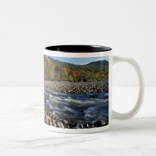 Tasse 2 Couleurs Amérique du Nord, États-Unis, NH, Une plage de gal