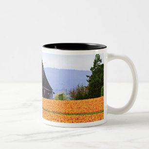 Tasse 2 Couleurs Amérique du Nord, États-Unis, Washington, vallée d