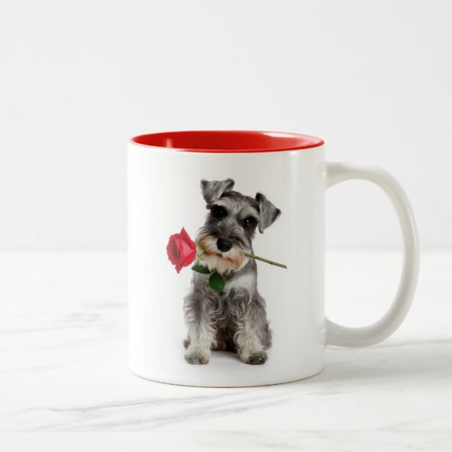 Tasse 2 Couleurs Amour de Schnauzer (Droit)