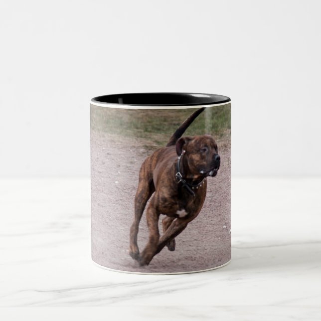 Tasse 2 Couleurs Amstaff en cours (Centre)