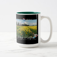 Anaglyphe de vue du paysage 3D de tulipes de