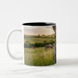 Tasse 2 Couleurs Âne du matin heureux