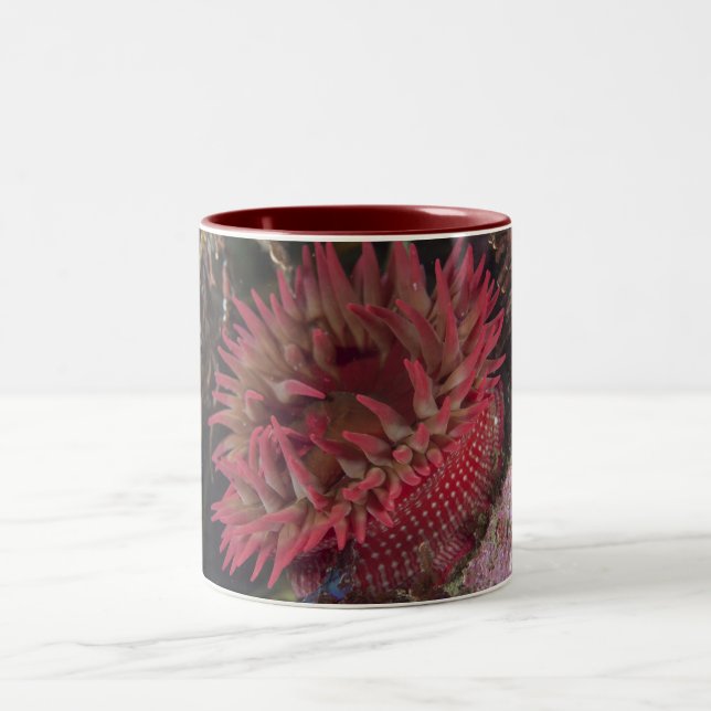 Tasse 2 Couleurs anémone rose Blanc-repérée (Centre)