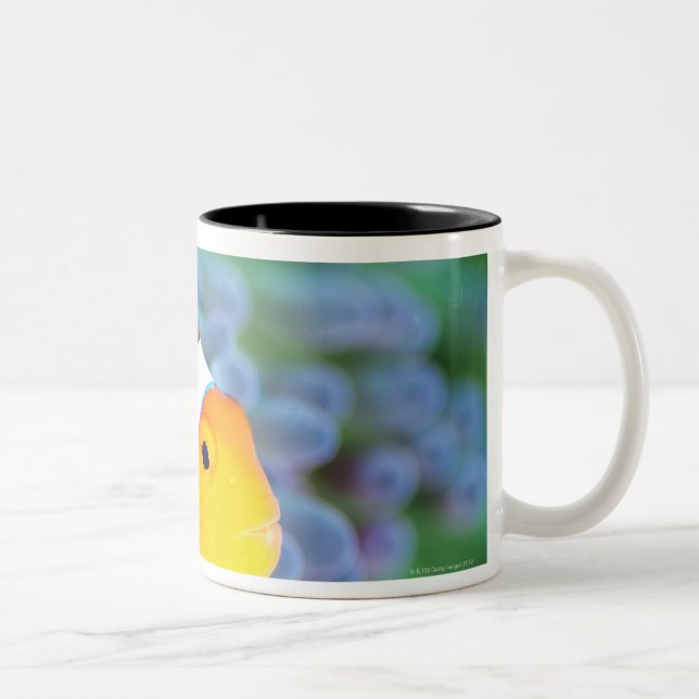 Tasse 2 Couleurs Anemonefish de clown (Droit)