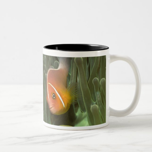 Tasse 2 Couleurs Anemonefish rose dans l'actinie de Magnificant (Droit)