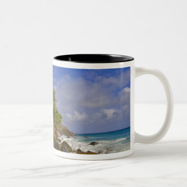 Tasse 2 Couleurs Anse Victorin Beach 4 (Droit)
