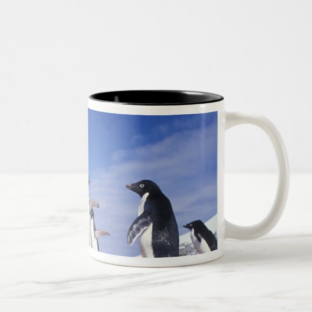 Tasse 2 Couleurs Antarctique, Adelie Penguin Pygoscelis (Droit)