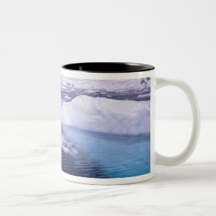 Tasse 2 Couleurs Antarctique. Expédition à travers les paysages de