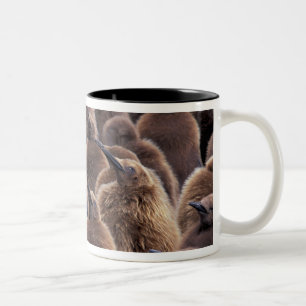 Tasse 2 Couleurs Antarctique, île de Géorgie du Sud, manchots royau