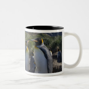 Tasse 2 Couleurs Antarctique, île de Géorgie du Sud Royaume-Uni), r
