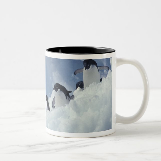 Tasse 2 Couleurs Antarctique. Manchots Adélie (Droit)