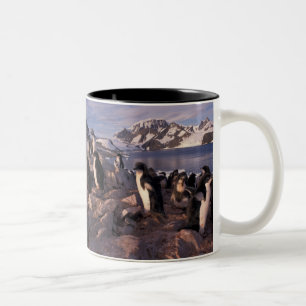 Tasse 2 Couleurs Antarctique, poussins de manchots Adélie