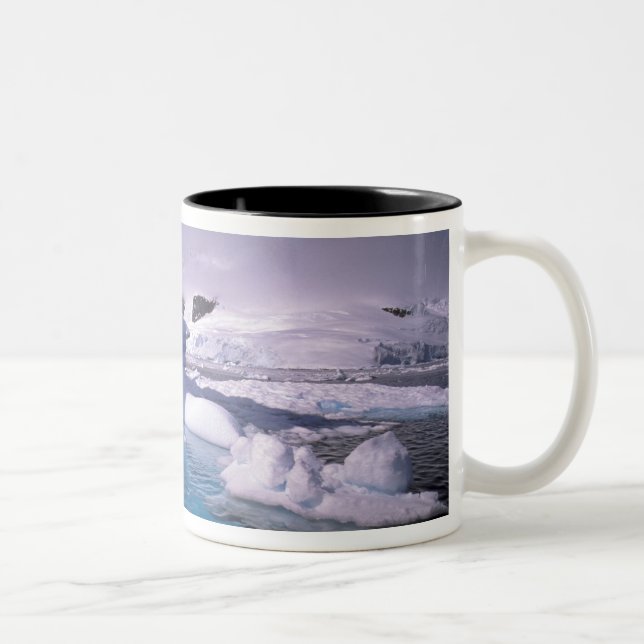Tasse 2 Couleurs Antarctique. Sévices de l'Antarctique 2 (Droit)
