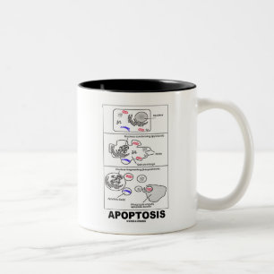 Tasse 2 Couleurs Apoptose (mort cellulaire de biologie)
