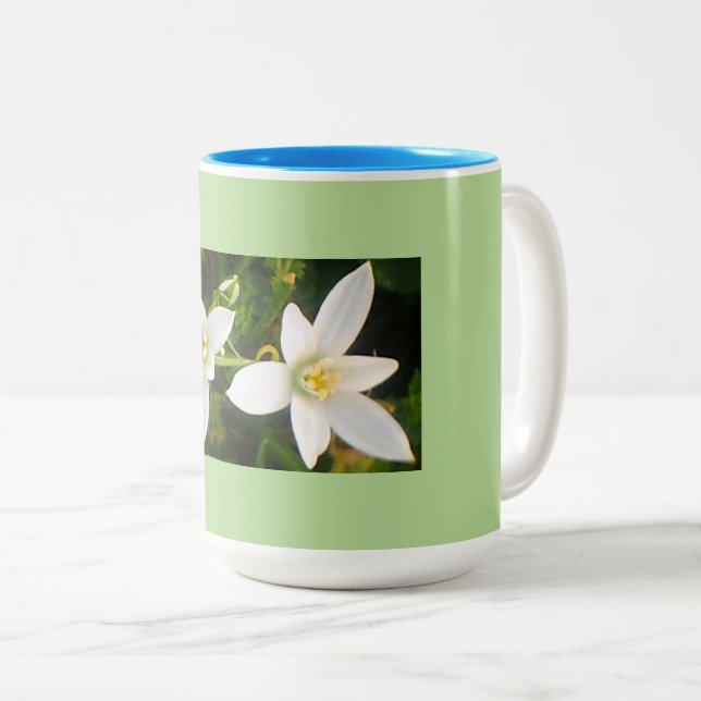 Tasse 2 Couleurs Aqua Green Spring Time (Devant droit)