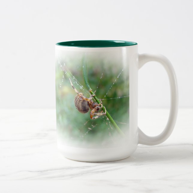 Tasse 2 Couleurs Araneus - Orb Weaver Spider (Droit)