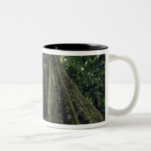 Tasse 2 Couleurs Arbre contreforté en forêt tropicale, Corcovado