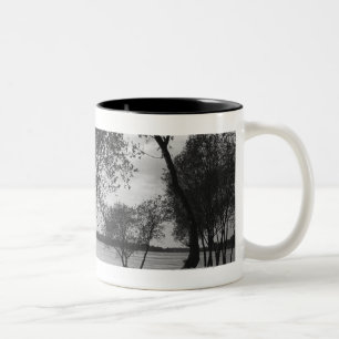 Tasse 2 Couleurs Arbres dans le lac