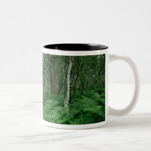 Tasse 2 Couleurs Arbres de bouleau argenté et fougères, forêt de
