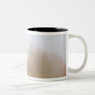 Tasse 2 Couleurs Arbres de chute enveloppés en brume
