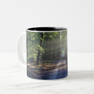 Tasse 2 Couleurs Arbres d'été recouvrant la route de Dirt