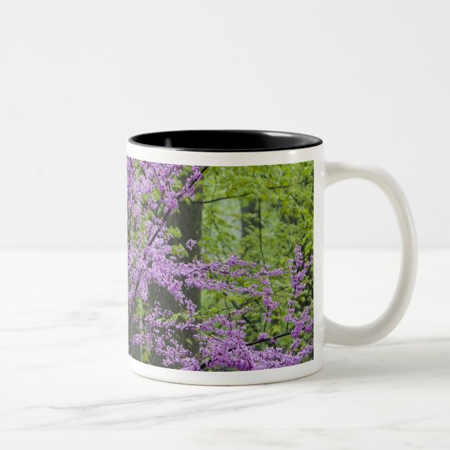 Tasse 2 Couleurs Arbres rouges en pleine floraison printanière près (Droit)