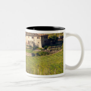 Tasse 2 Couleurs Aschuito, une ferme en activité qui accepte des in