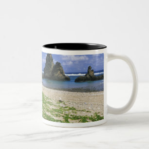 Tasse 2 Couleurs Asie, Japon, Okinawa, littoral de Yambaru, mer