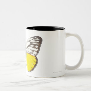 Tasse 2 Couleurs Aspasia de Cepora