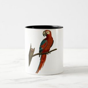 Tasse 2 Couleurs Aspiration rouge de perroquet