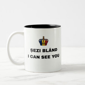 TASSE 2 COULEURS ASSIEDS-TOI SAGE, JE TE VOIS MUGE DE CAFÉ BI-TON