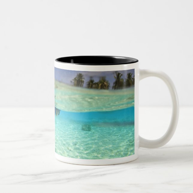 Tasse 2 Couleurs Atoll de Huvadhoo Sud, Maldives Sud, Inde (Droit)