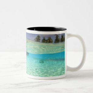 Tasse 2 Couleurs Atoll South Huvadhoo, Maldives du Sud, Indien