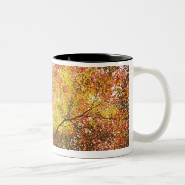 Tasse 2 Couleurs Automne (Droit)