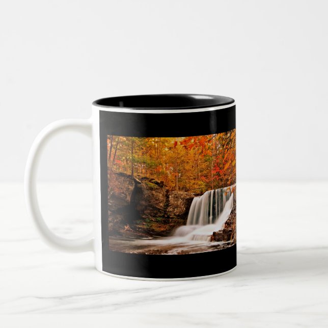 Tasse 2 Couleurs Automne aux automnes d'usine (Gauche)